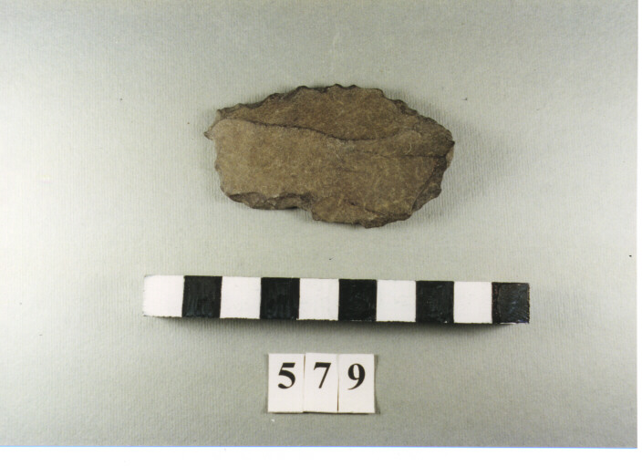 perforatore - non determinabile (Paleolitico I/ M)