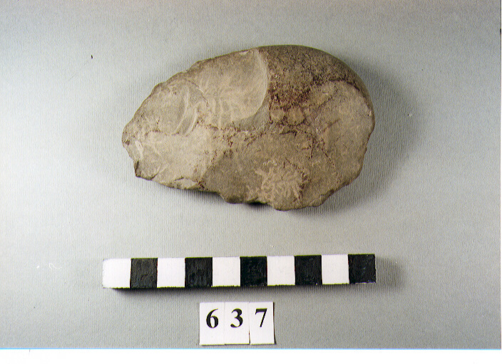denticolato - non determinabile (paleolitico inferiore)