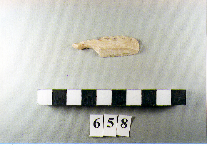 perforatore - non determinabile (neolitico)
