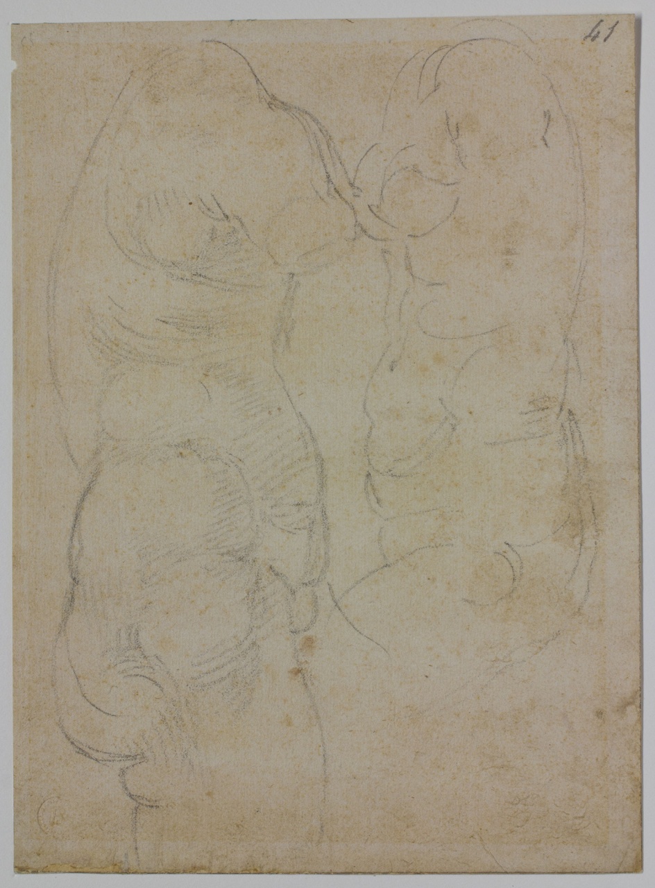 busto femminile (disegno) di Buonarroti Michelangelo (sec. XVI)