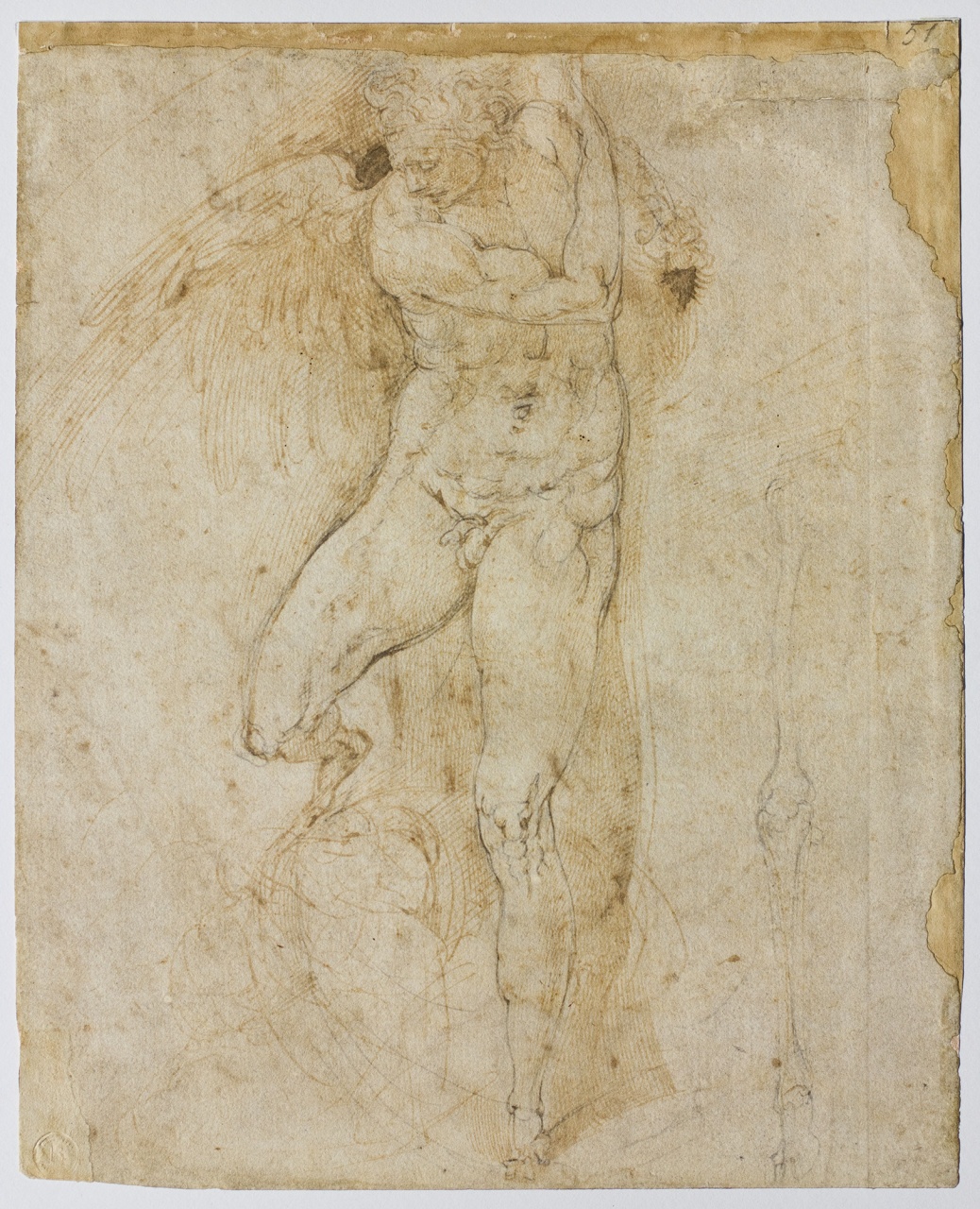 studio di genio alato/ studi di figura (disegno) di Franco Battista detto Semolei (attribuito) (sec. XVI)