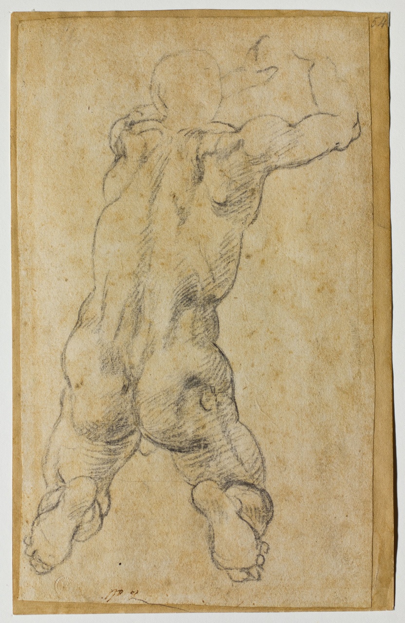 giovane nudo (disegno) di Buonarroti Michelangelo (sec. XVI)