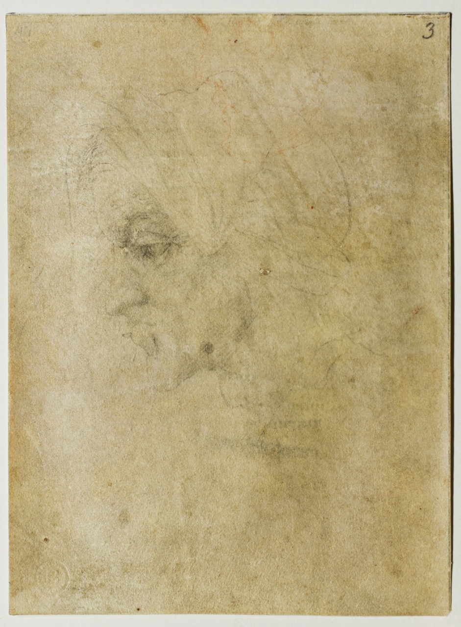 testa di donna (disegno) di Buonarroti Michelangelo (sec. XVI)