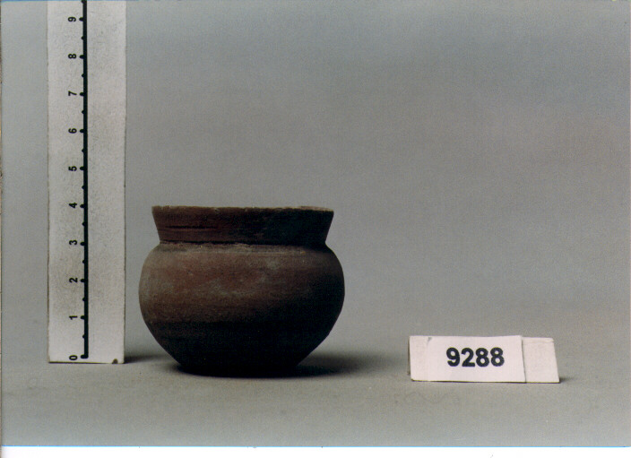 vaso (SECC. II A.C./ II D.C)