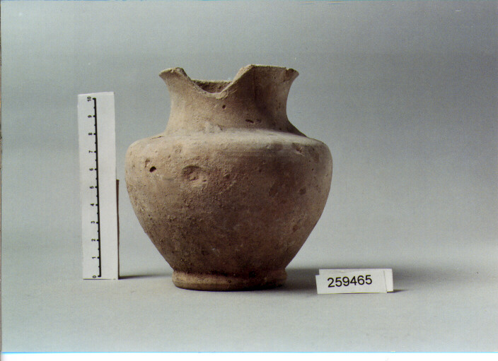 VASO (SECC. III A.C. / IV D.C)