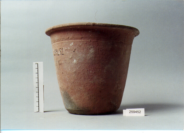 VASO (SECC. III A.C. / IV D.C)