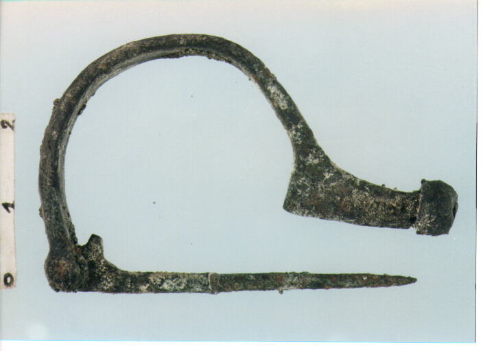 Fibula