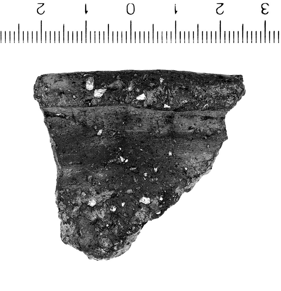 olla/ orlo (secc. VI/ III a.C)