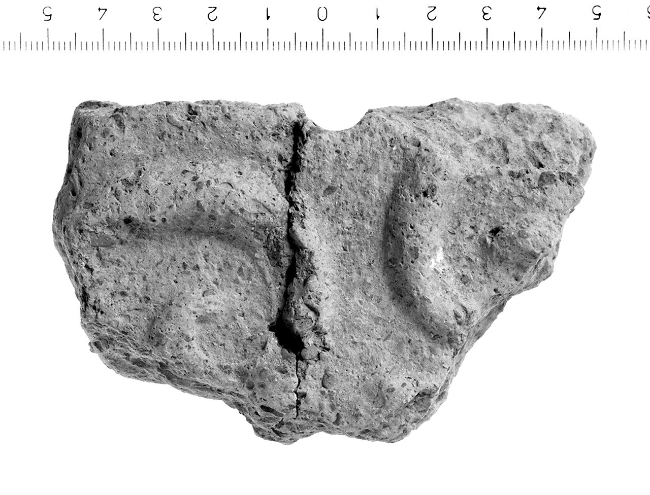 lastra di rivestimento/ frammento (inizio sec. II a.C)