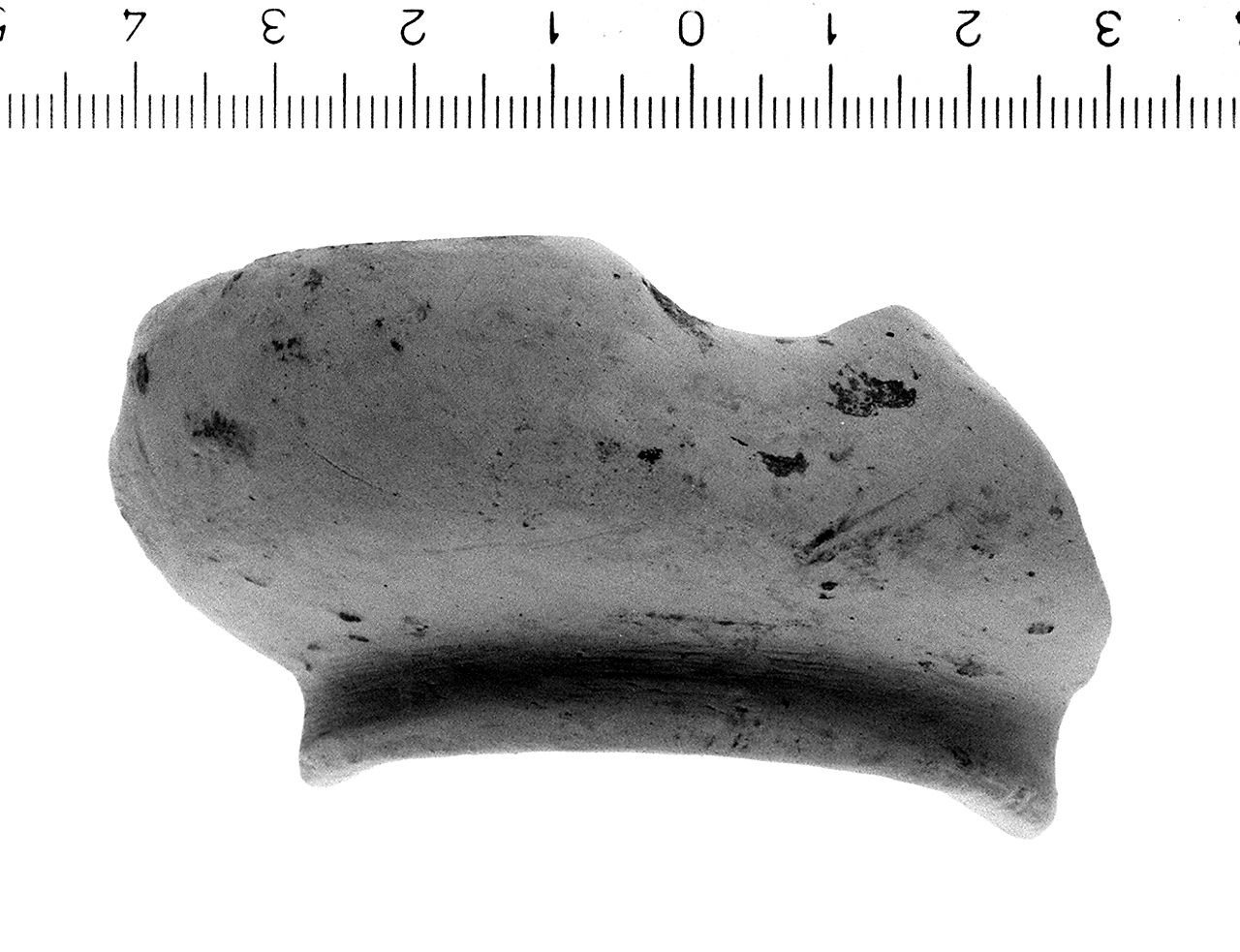 ciotola/ forma parzialmente ricostruibile (secc. V/ IV a.C)