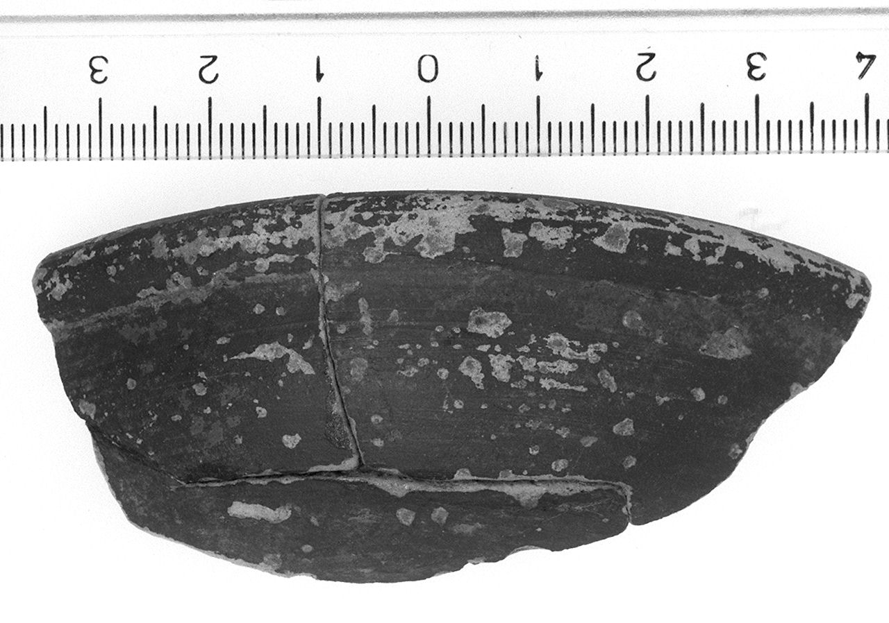 coppa/ forma parzialmente ricostruibile, Vicino a Morel, serie 2536 (sec. III a.C)