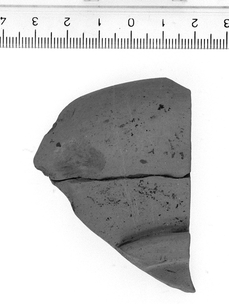 ciotola/ forma parzialmente ricostruibile (secc. VI/ IV a.C)