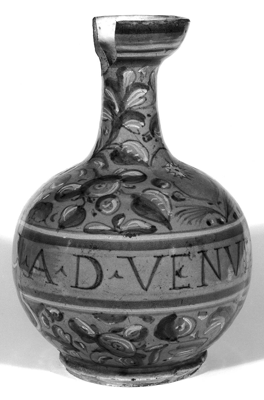 motivi decorativi vegetali (vaso da farmacia) - bottega veneziana (?) (seconda metà sec. XVI)