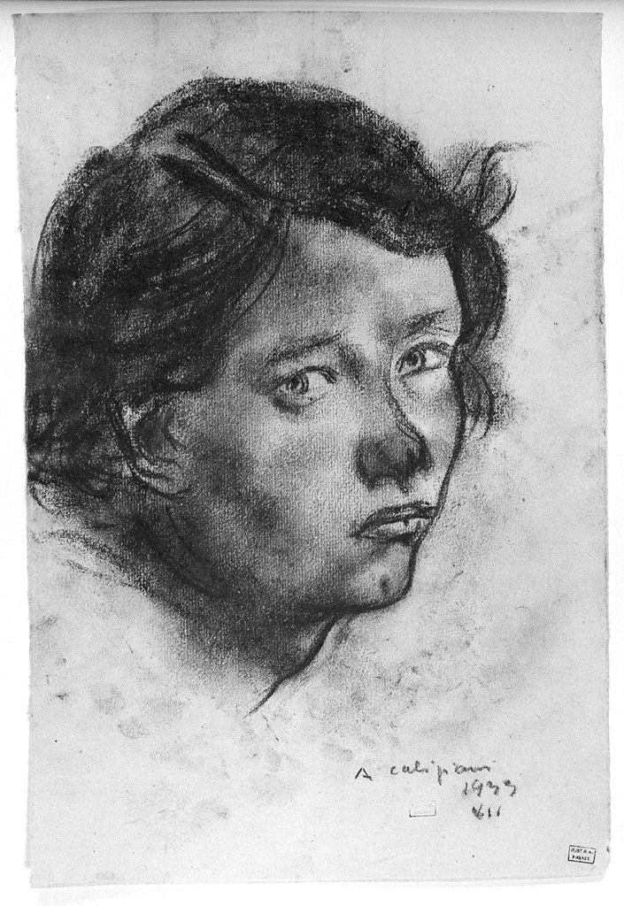 ritratto di donna (disegno) di Caligiani Alberto (sec. XX)