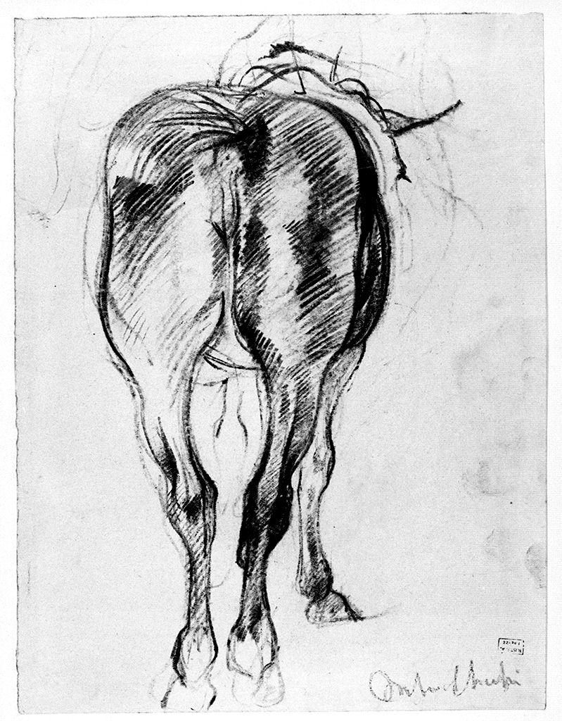 cavallo (disegno) di Checchi Arturo (sec. XX)