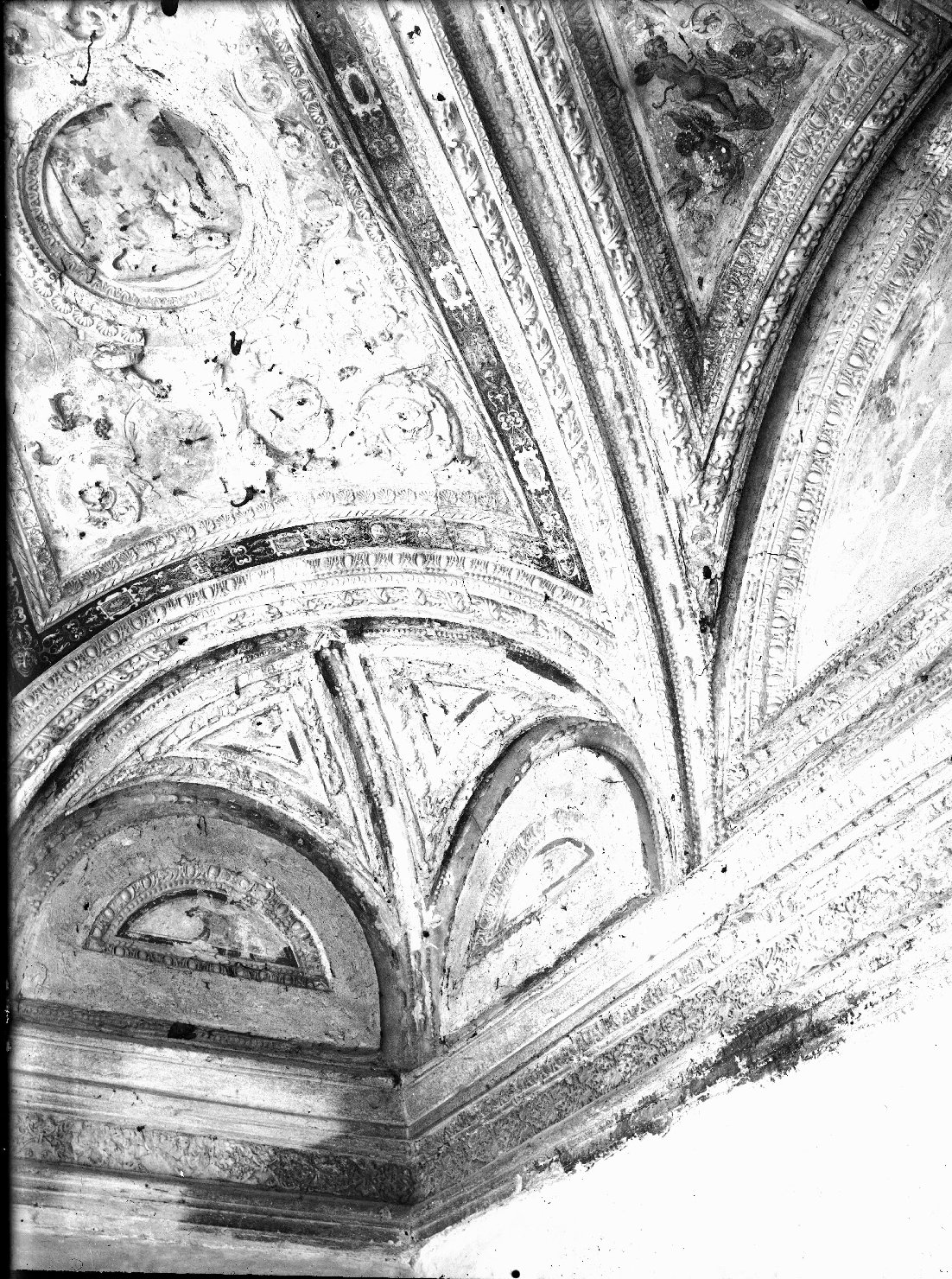 Mantova - Palazzo Ducale - Dipinti murali - Restauri (negativo) di Lorenzo Costa il Giovane (attr), Anonimo (XX)