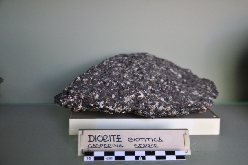 Diorite Biotitica (esemplare)