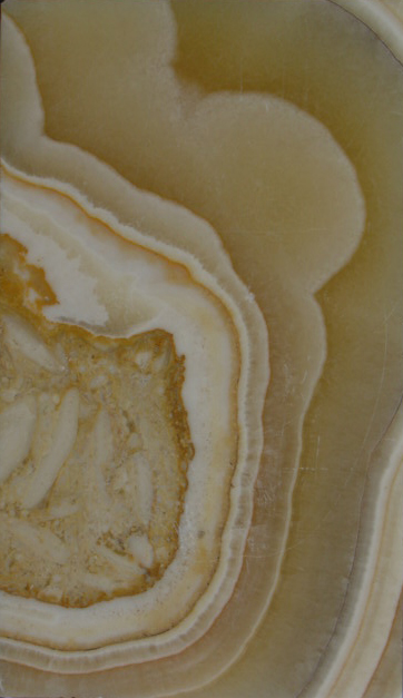 Alabastro orientale oleoso nummulifero (esemplare)