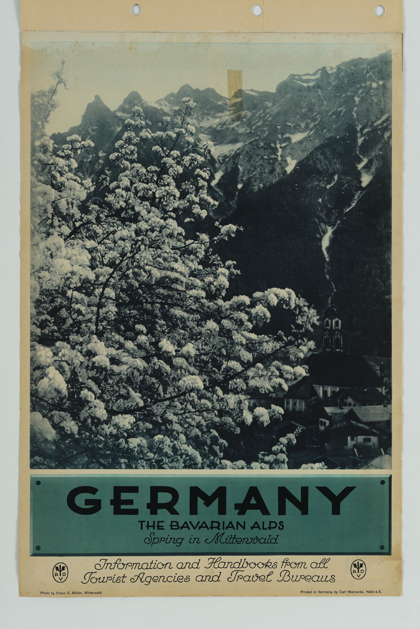 veduta delle Alpi Bavaresi e di alberi fioriti (manifesto) di Müller Franz E - ambito tedesco (metà sec. XX)