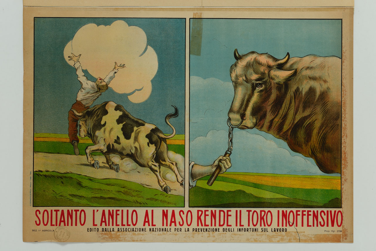 duplice riquadro illustra un uomo caricato da un toro e l'animale reso mansueto dall'anello al naso con catena (manifesto) - ambito italiano (sec. XX)