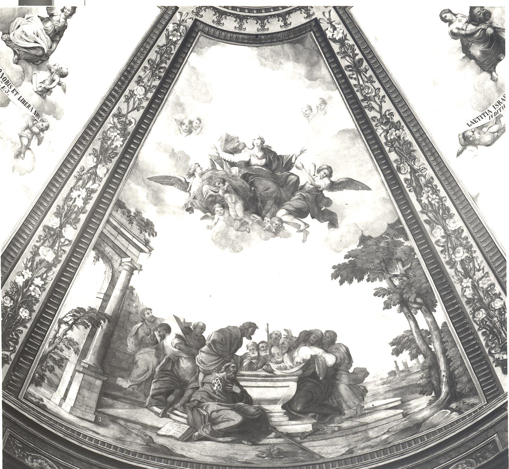Assunzione della Madonna (dipinto, elemento d'insieme) di Rinaldi Giuseppe (sec. XIX)