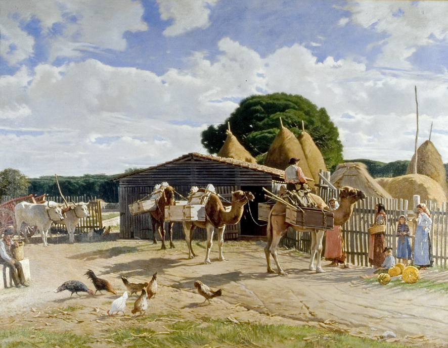 Cammelli nella tenuta di San Rossore, scena di genere (dipinto, opera isolata) di Borrani Odoardo (XIX)