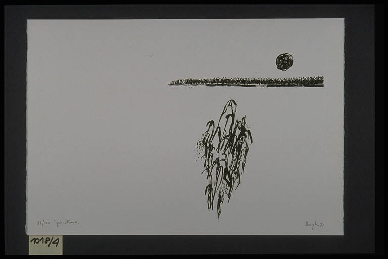 Paesaggio con granoturco (stampa, elemento d'insieme) di Borghi Livio, Borghi Livio (terzo quarto sec. XX)
