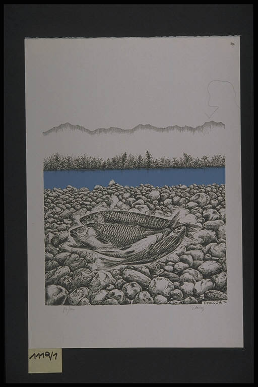 Paesaggio fluviale con pesci (stampa a colori, elemento d'insieme) di Tocco Ettore, Tocco Ettore (terzo quarto sec. XX)