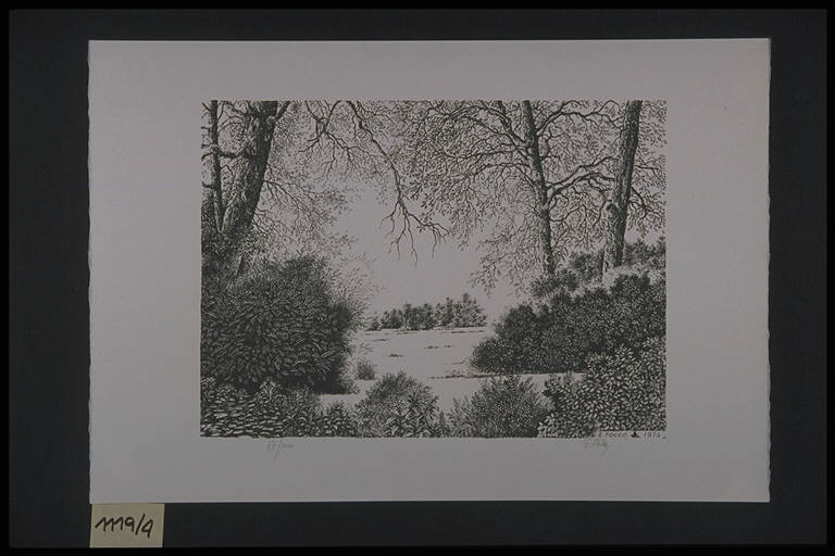 Paesaggio lacustre con alberi (stampa, elemento d'insieme) di Tocco Ettore, Tocco Ettore (terzo quarto sec. XX)