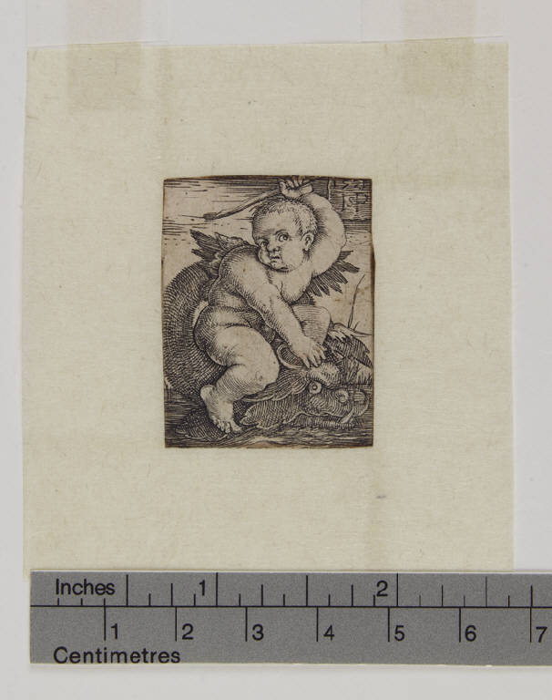 Genio su un delfino diretto a destra, Genio alato a cavallo di un mostro marino (stampa tagliata) di Beham Hans Sebald (sec. XVI)