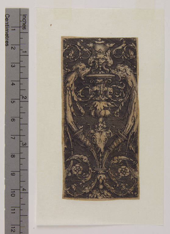 motivo decorativo con due delfini, Motivo decorativo con due delfini (stampa smarginata) di Monogrammista R (sec. XVI)