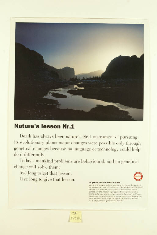 La prima lezione della natura, Paesaggio montano con lago (stampa a colori, serie) di Illy Francesco, Sanesei Roberto (fine sec. XX)
