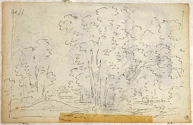 Schizzo per scena raffigurante un bosco, PAESAGGIO (disegno, opera isolata) di Vacca Luigi (sec. XIX)