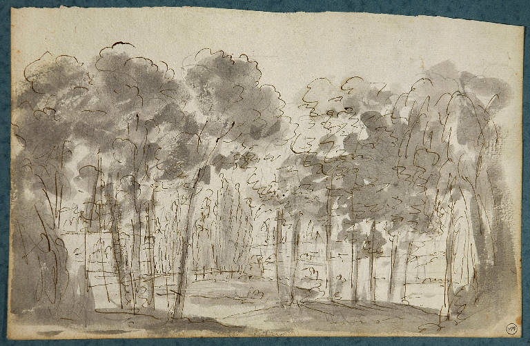 Scena raffigurante un bosco, PAESAGGIO (disegno, opera isolata) di Vacca Luigi (sec. XIX)