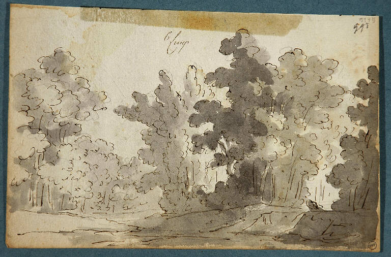 Scena raffigurante un bosco, PAESAGGIO (disegno, opera isolata) di Vacca Luigi (sec. XIX)