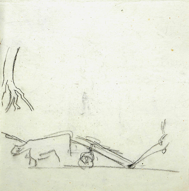 Animali (disegno, opera isolata) di Bertelli Luigi (secc. XIX/ XX)