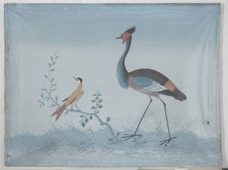 Animali (disegno, opera isolata) di Raineri Vittorio (sec. XIX)