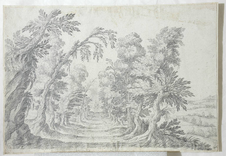 Viale alberato, Paesaggio con alberi (disegno, opera isolata) - ambito Italia centro-settentrionale (seconda metà sec. XVIII)