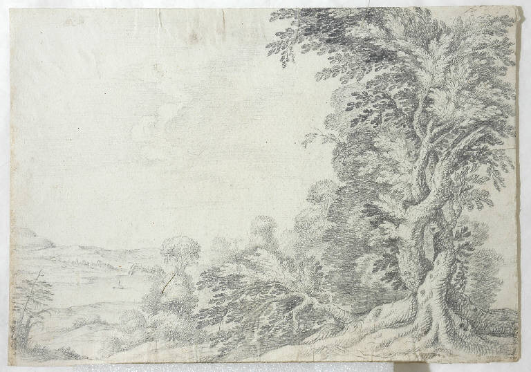 Paesaggio con grande pianta, Paesaggio con alberi (disegno, opera isolata) - ambito Italia centro-settentrionale (seconda metà sec. XVIII)