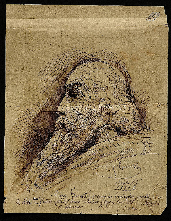 Testa d'uomo/ Figura maschile (disegno, opera isolata) di Speluzzi Gaetano (sec. XIX)