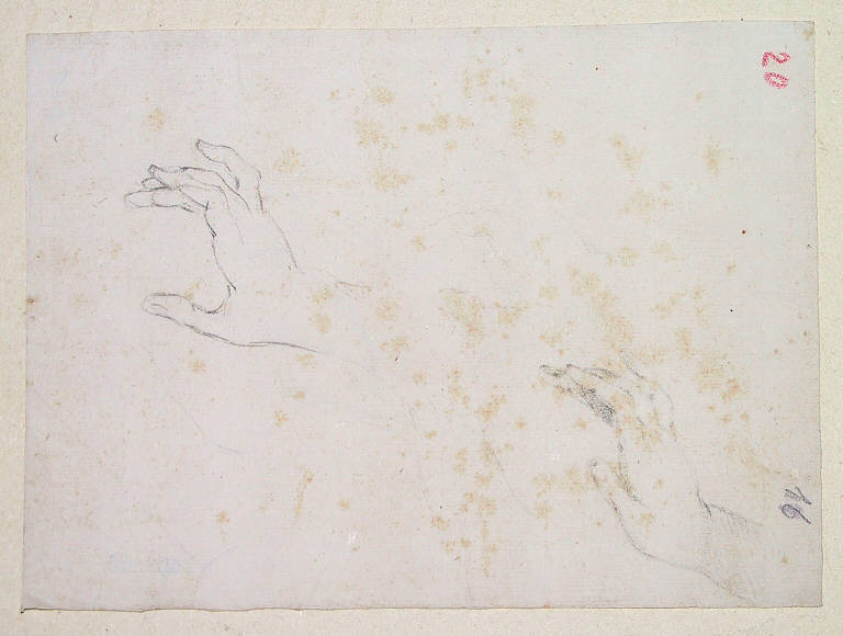 Mani/ Nudo infantile (disegno, opera isolata) di Ligari Cesare (sec. XVIII)