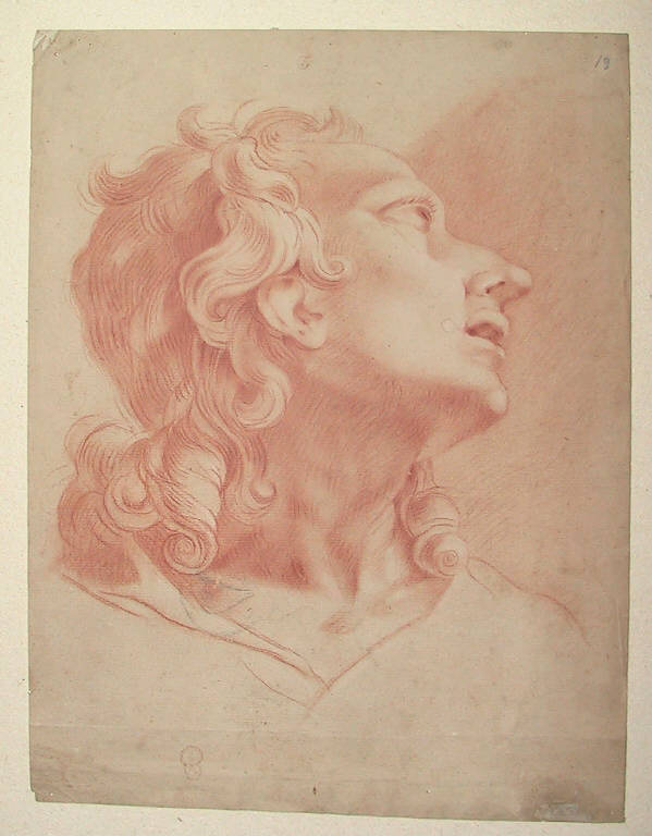 testa d'uomo (disegno, opera isolata) di Ligari Giovanni Pietro (inizio sec. XVIII)