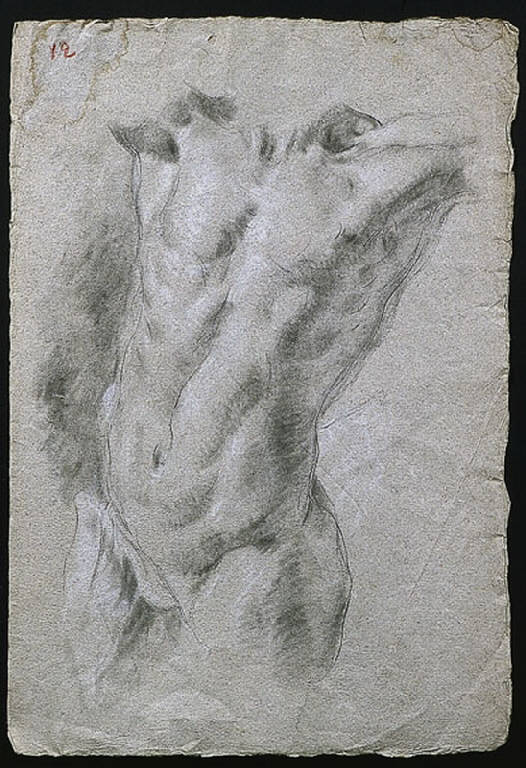 Busto maschile (disegno, opera isolata) di Ligari Cesare (secondo quarto sec. XVIII)