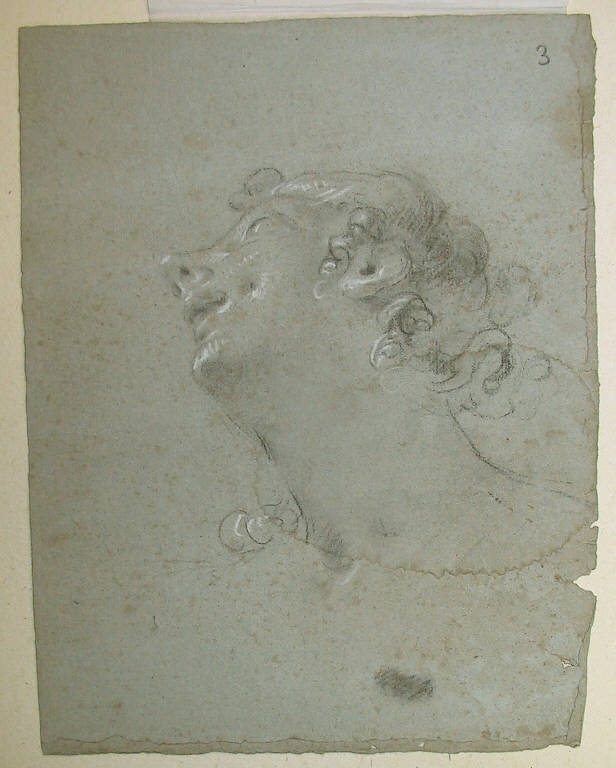 Testa d'uomo/ Testa d'uomo di profilo (disegno, opera isolata) di Ligari Cesare (terzo quarto sec. XVIII)