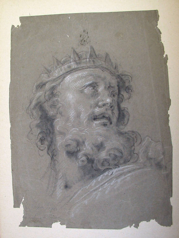 Testa di re con corona (disegno, opera isolata) di Ligari Cesare (terzo quarto sec. XVIII)