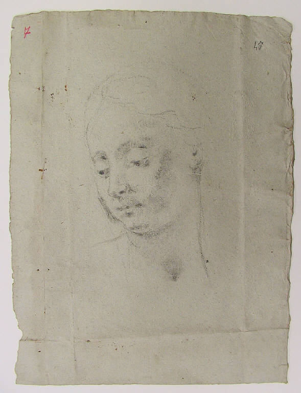 Testa di donna (disegno, opera isolata) di Ligari Cesare (metà sec. XVIII)