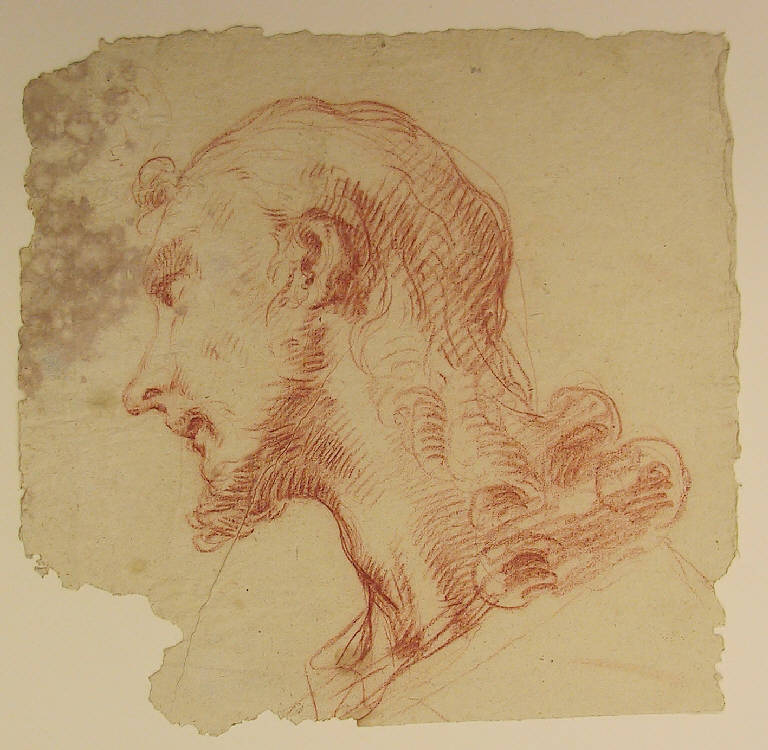 Testa d'uomo di profilo (disegno, opera isolata) di Ligari Cesare (metà sec. XVIII)