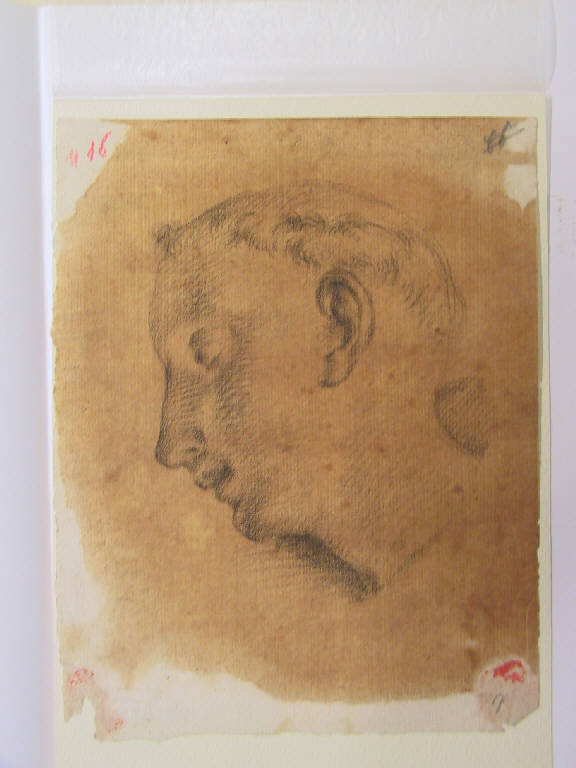 Frate (disegno, opera isolata) di Ligari Cesare (sec. XVIII)