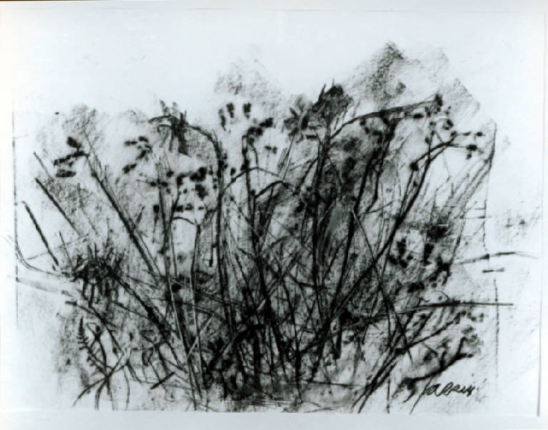 Cespuglio, Cespuglio e fiori (disegno, opera isolata) di Fazzini Enrico (metà sec. XX)
