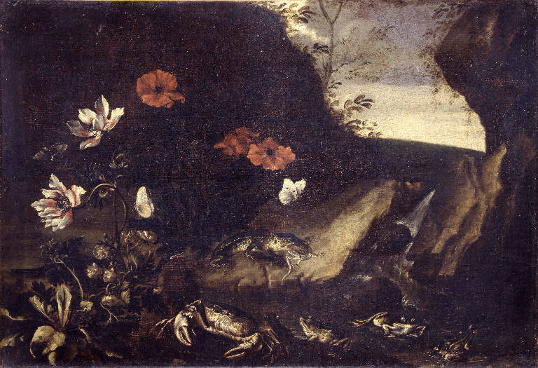 Natura morta con fiori e animali (dipinto) di Recco Giuseppe (sec. XVII)